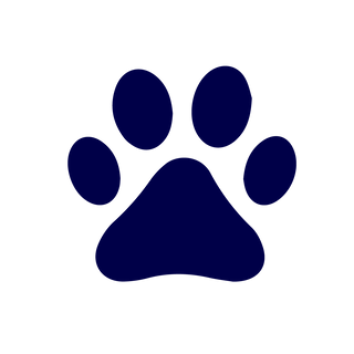 Pet safe eco laundry detergent icon
